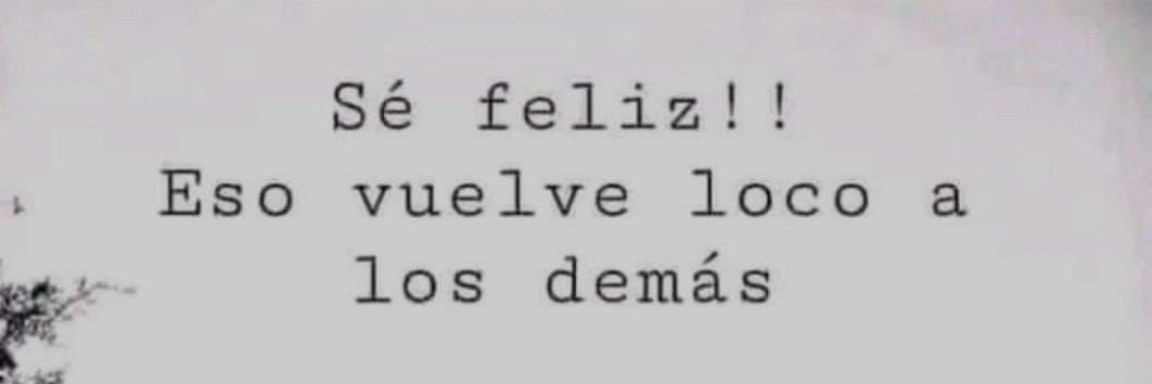María banner