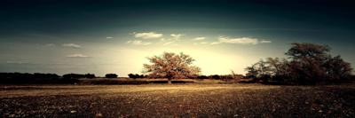 ppailleti110549's profile banner image