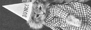 fede's banner