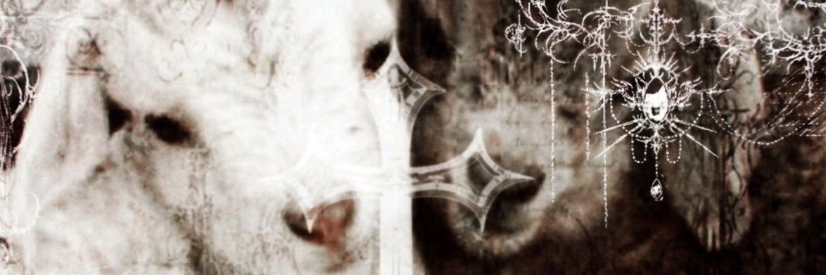 Staticzzzs's profile banner image