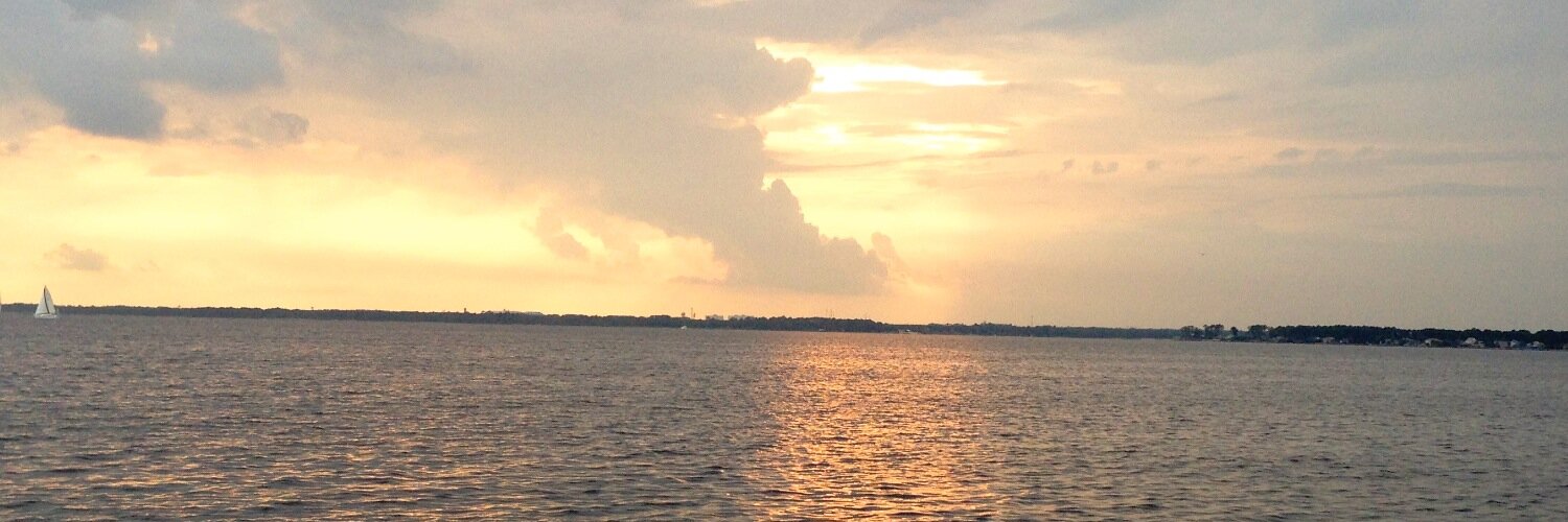 tomhandel's profile banner image