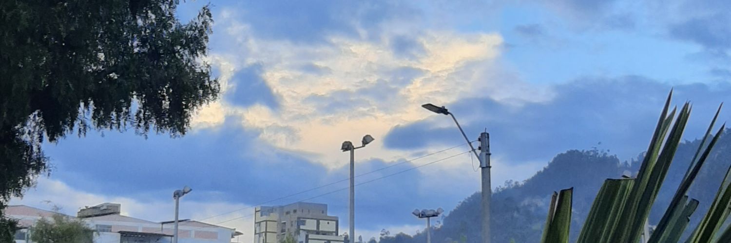 Sofia_sfd's profile banner image