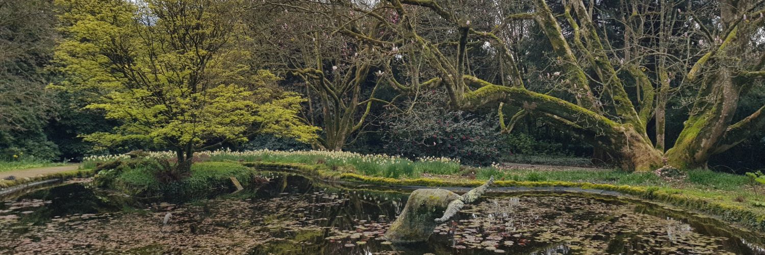 francesca_shyne's profile banner image
