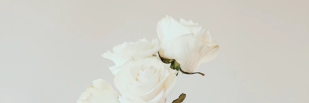 Felix banner