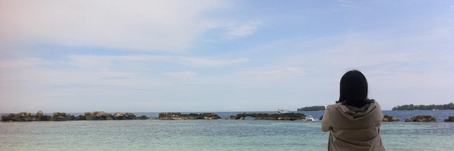 widyanuryana's profile banner image