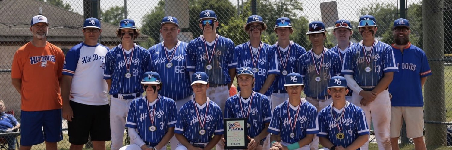 Motor City Hit Dogs - Rogers banner