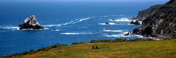 filipviz Profile Banner