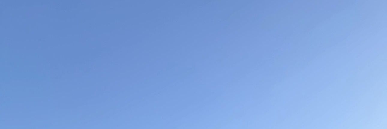 noer🦖 banner