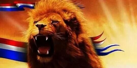 P. 🏛️ 🇳🇱 🇧🇪 banner