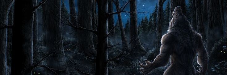https_KittyStar's profile banner image