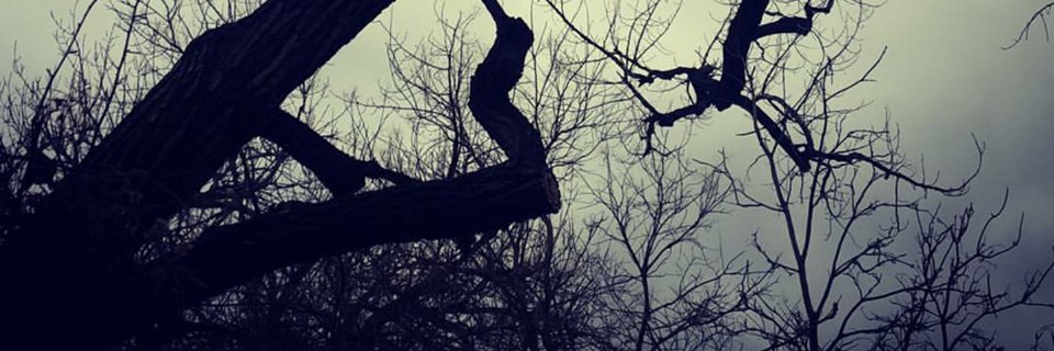 JensPenDen's profile banner image