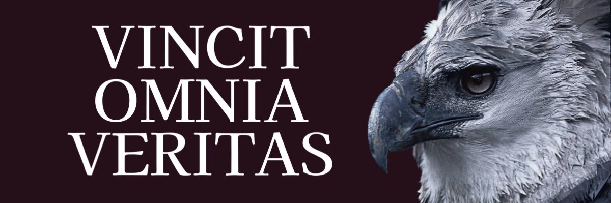 netovaloes's profile banner image