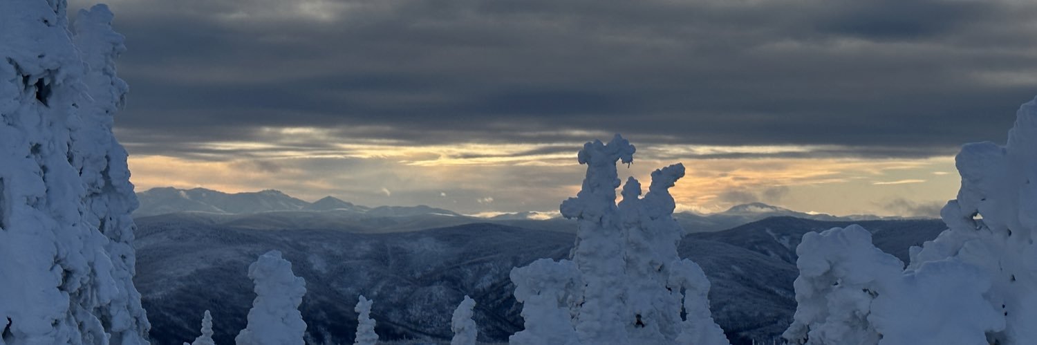 AdetohMyToe's profile banner image