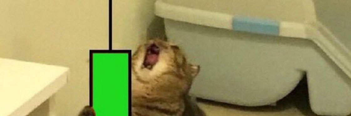 Jesuss_Walkss's profile banner image