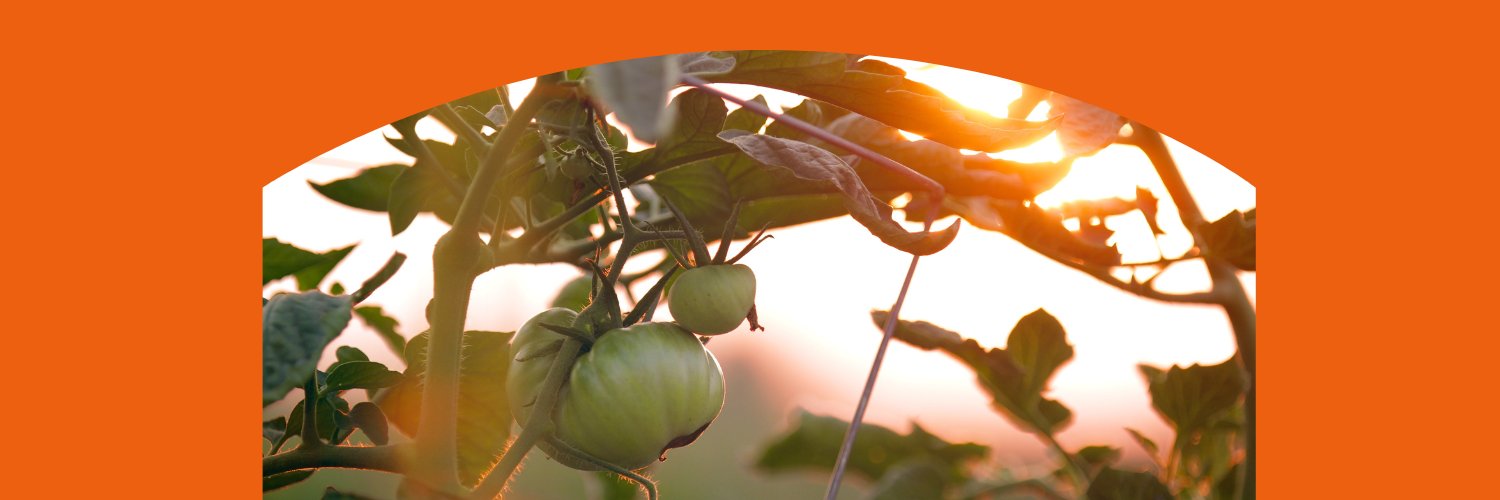 Terroir et Saveurs banner