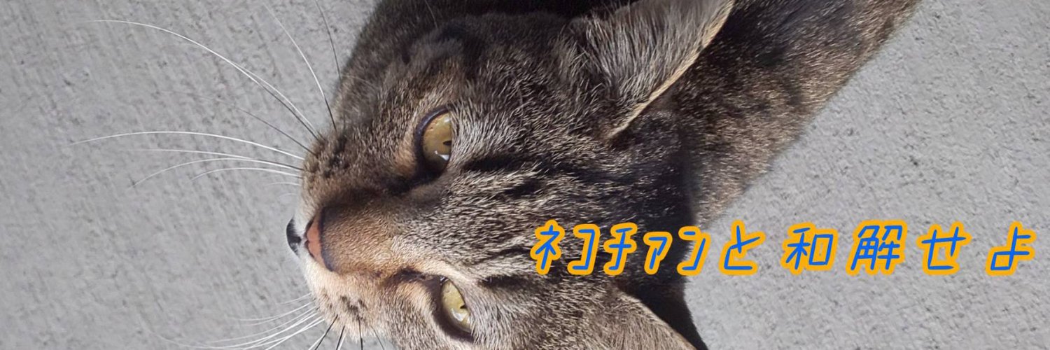 sounds_meow's profile banner image