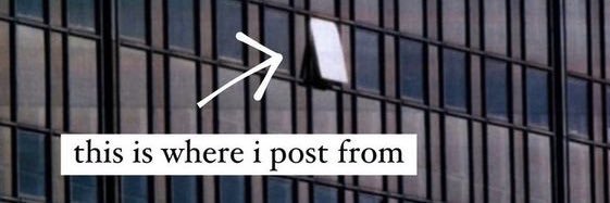 Whitners 💫 banner