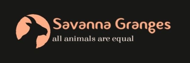 solomadz's profile banner image