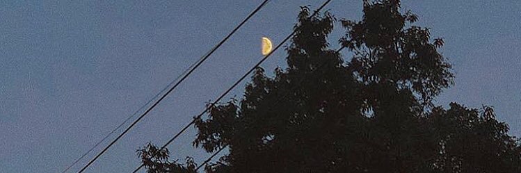 MPipis2's profile banner image
