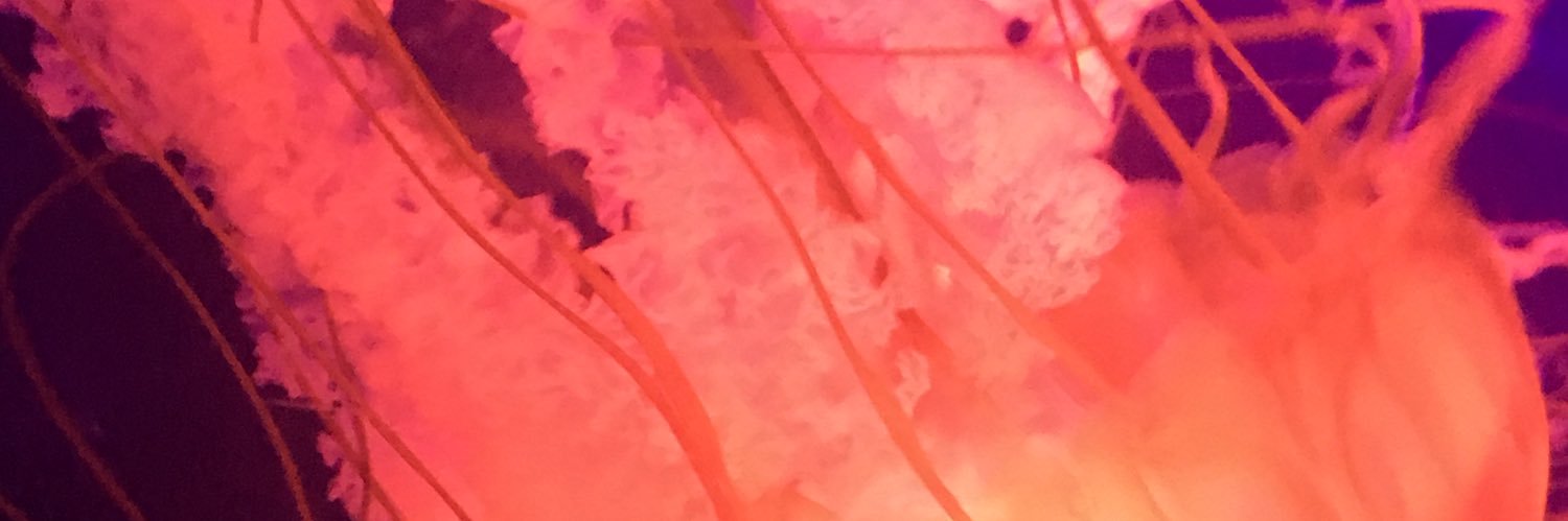 mona_stevens's profile banner image