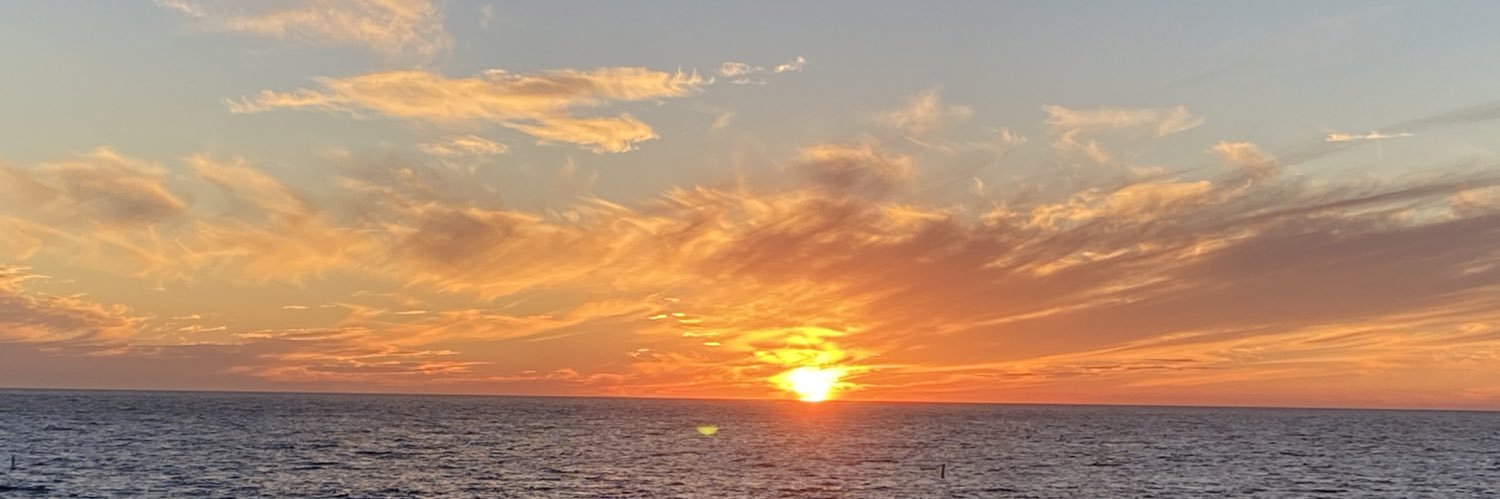 TaghvaeiM's profile banner image