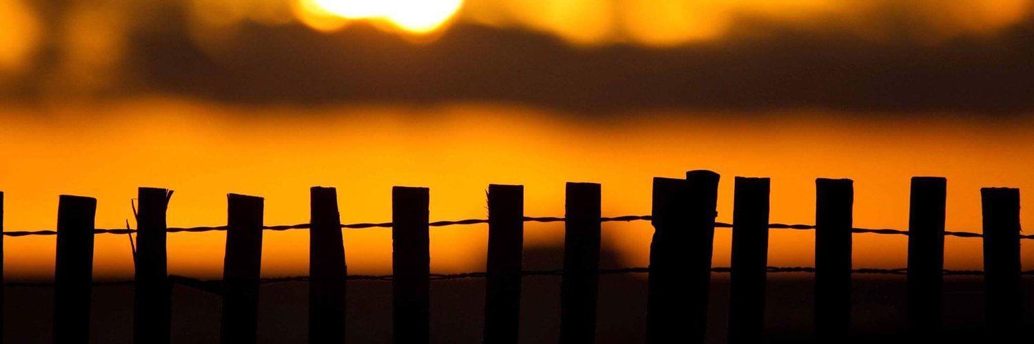 Kevin Sanchez banner