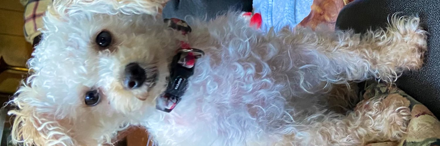 Patty Connors banner