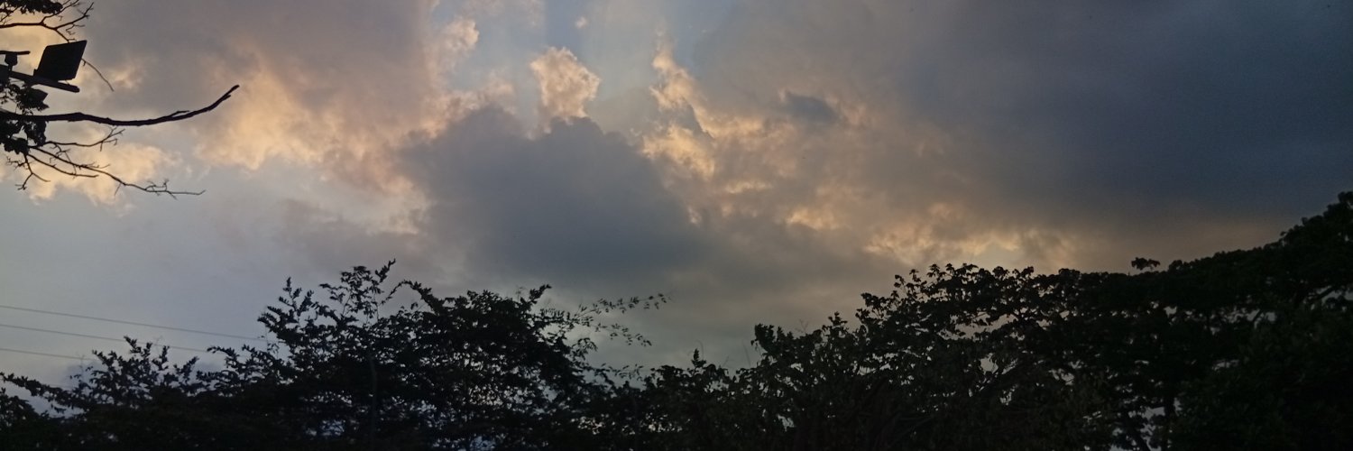 delayedtem's profile banner image