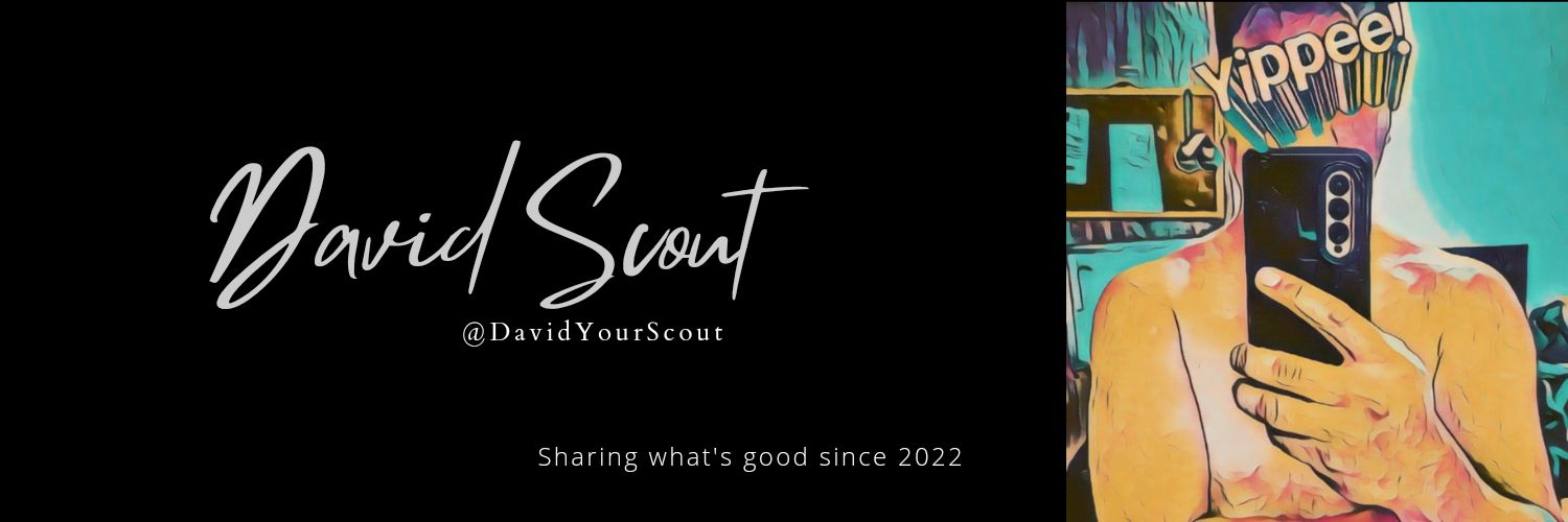 David Scout banner