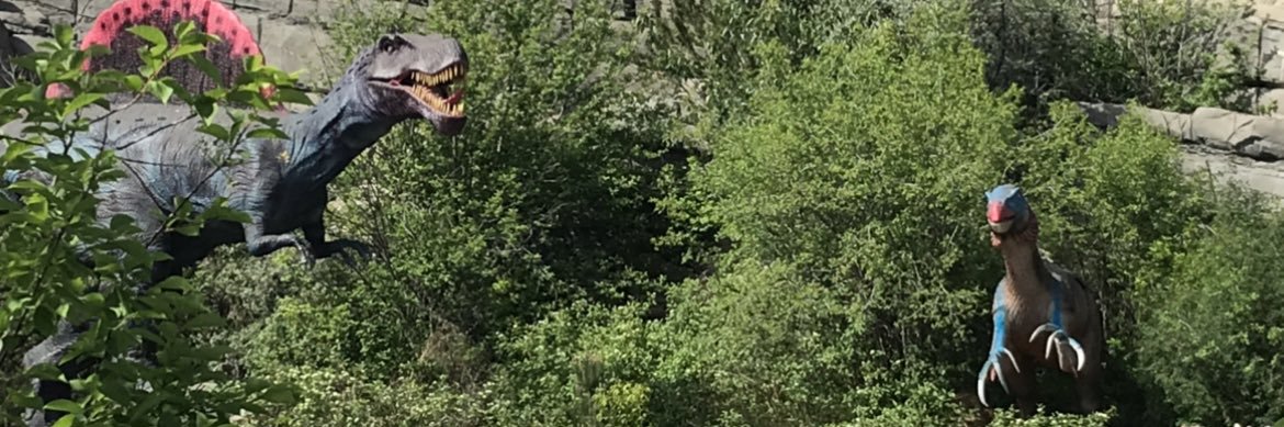 Mike T 🇨🇦 banner