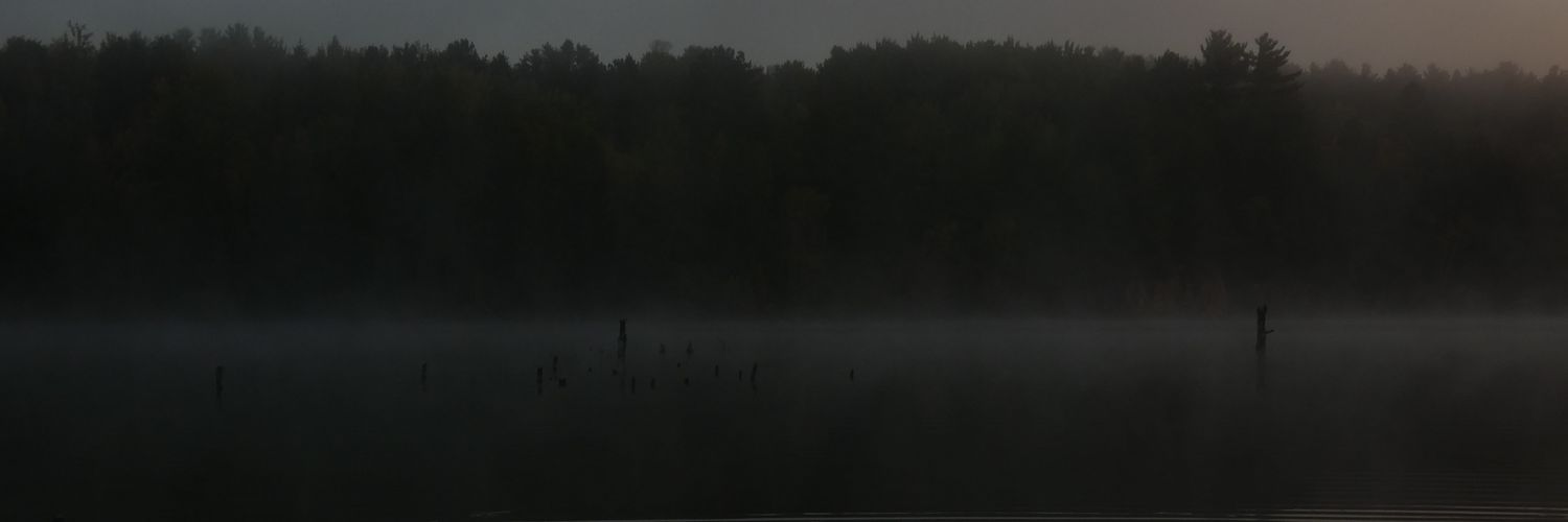 Bran_again's profile banner image