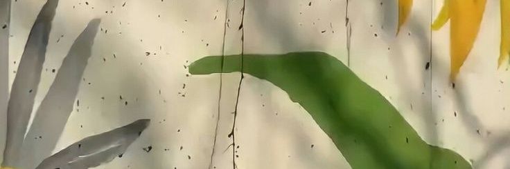 na_matchali's profile banner image