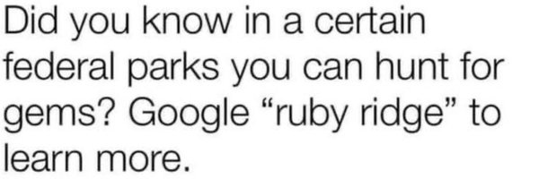 pinchhit12 Profile Banner