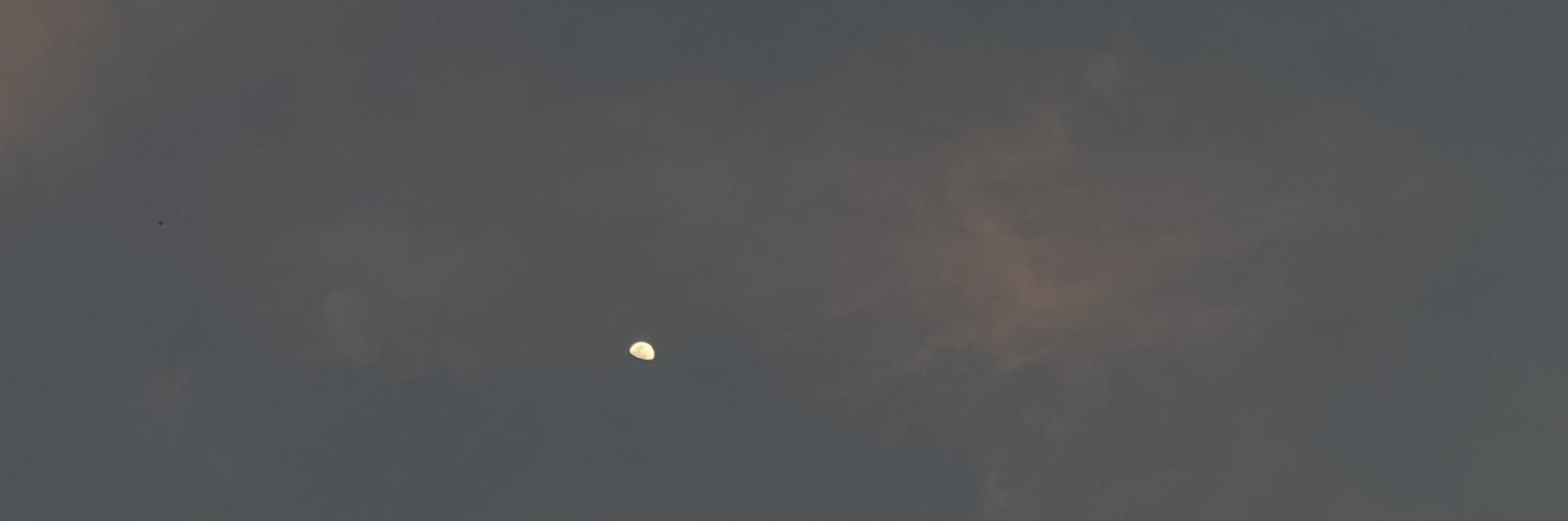 jjongsaengf's profile banner image