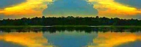 🇧🇷🌻🇧🇷 Rosana Barros Muniz 🇧🇷🌻🇧🇷's banner