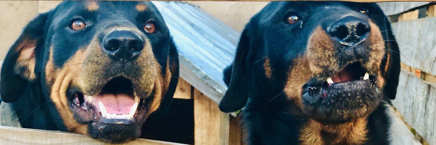 AvoNaj's profile banner image