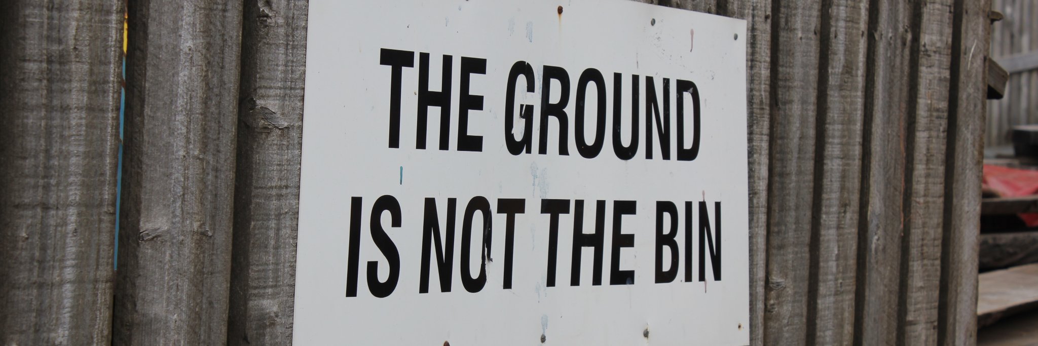 Grace Sheppard (she/her) banner