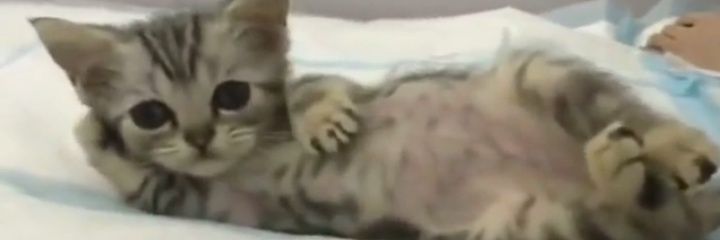 nick_60601's profile banner image