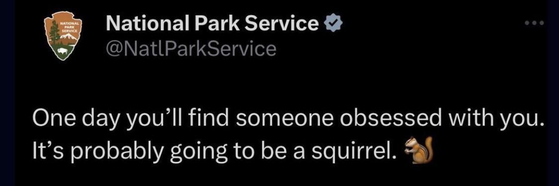 mx_squirrel's profile banner image