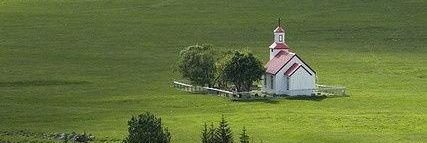 ฟรีมแลนด์ banner