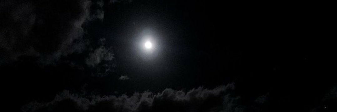 ⚖️F banner