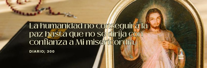 CIDDM's profile banner image