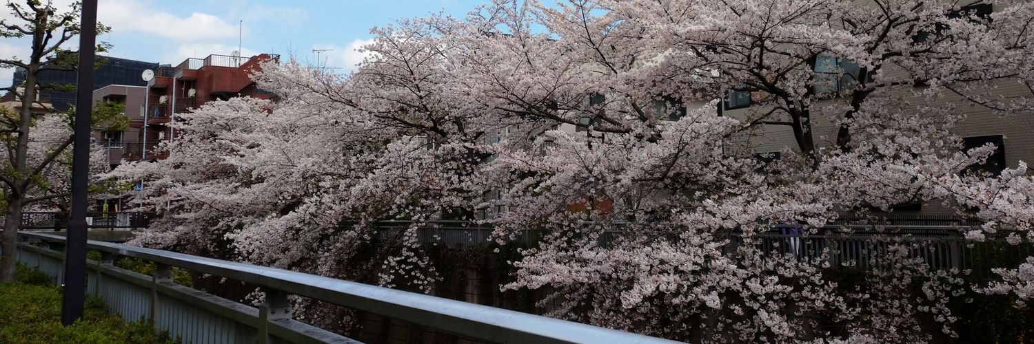 ara1jin's profile banner image