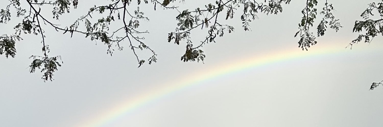 chewwycoola's profile banner image