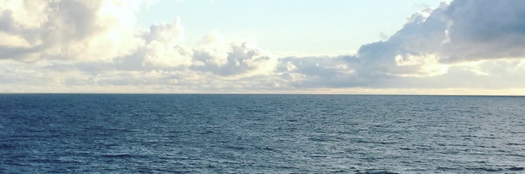 SSalgadoM's profile banner image