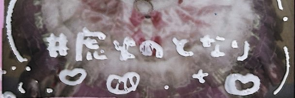 虎火𓃺☔︎ banner