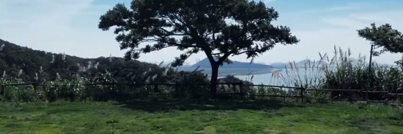 Blur The Line banner