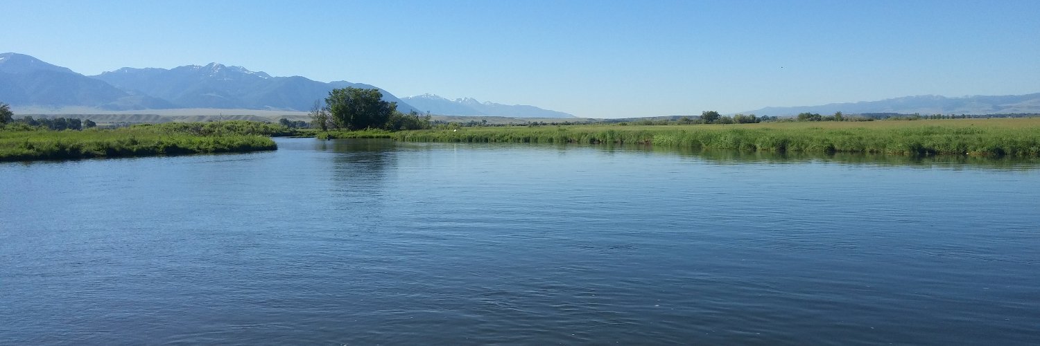 Sum Ting Wong 🐙MD PhD MBA FACS banner