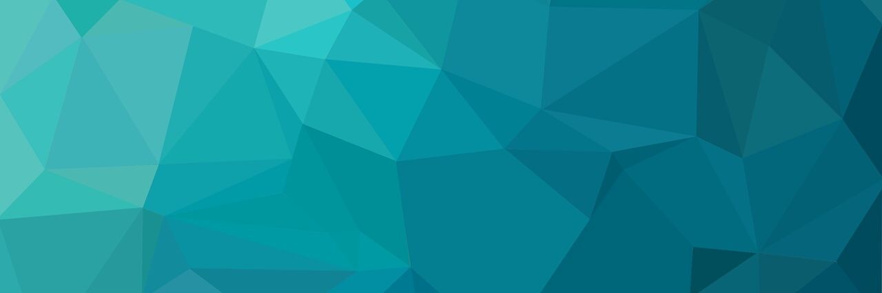 leo_mucchielli's profile banner image
