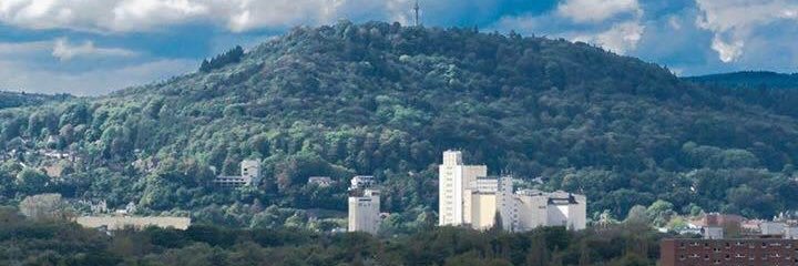 Philipp Killmann banner